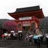 Eingang zum Kiyomizudera-Tempel