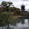 Turm des Higashiji-Tempels